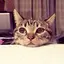 Miiiiのプロフィール画像