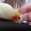 由佳のプロフィール画像