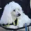 マミ〜のプロフィール画像
