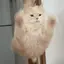 おみくのプロフィール画像
