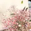 ふぃのプロフィール画像