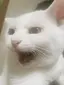 Sのプロフィール画像