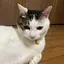naoのプロフィール画像