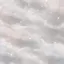 mのプロフィール画像