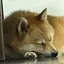 ru_iのプロフィール画像