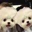 なのプロフィール画像
