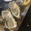 こまのプロフィール画像