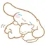 Mikoのプロフィール画像