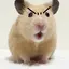 あちゃものプロフィール画像
