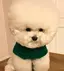 Sのプロフィール画像