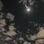ryのプロフィール画像