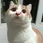 muuyouのプロフィール画像