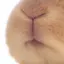 モナのプロフィール画像