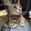 ひなたのプロフィール画像