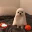 TOMOKAのプロフィール画像