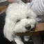 れんのプロフィール画像