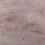 歩美のプロフィール画像
