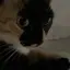 aoiのプロフィール画像