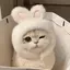 みなみのプロフィール画像