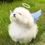みのプロフィール画像