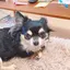 くれあのプロフィール画像