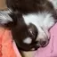 あのプロフィール画像