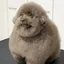 ychanのプロフィール画像
