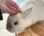 愛のプロフィール画像