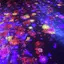 Rainのプロフィール画像