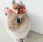 t lのプロフィール画像