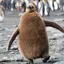 hirokoのプロフィール画像