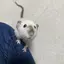 なるなるのプロフィール画像