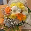 晏花のプロフィール画像
