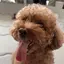 mamanのプロフィール画像