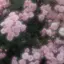 未姫のプロフィール画像