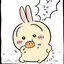 くまのプロフィール画像