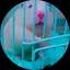 しろたんまん🐹🌈💗のプロフィール画像