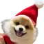 なつみのプロフィール画像