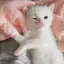 おゆのプロフィール画像