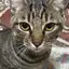 なおきのプロフィール画像