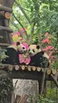 yuanのプロフィール画像