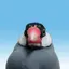 こめのプロフィール画像