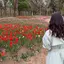 kinukaのプロフィール画像