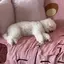にむのプロフィール画像
