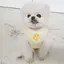 ãのプロフィール画像