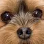みやこのプロフィール画像