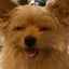 naoのプロフィール画像
