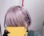 ねこのプロフィール画像