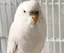 えのプロフィール画像