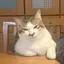 ことのプロフィール画像